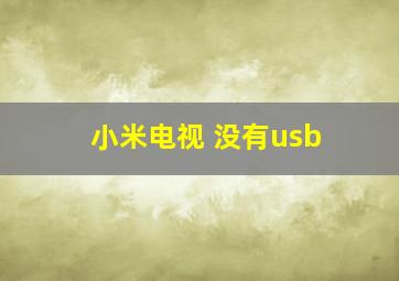 小米电视 没有usb